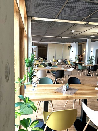 Imagen del bar/restaurante del Hotel Alea Eco. Foto 3
