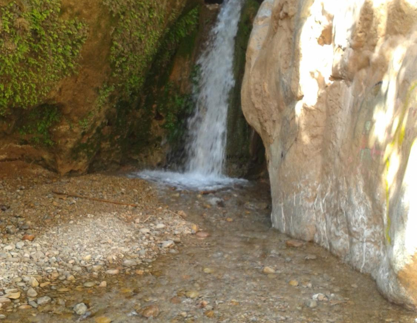 Imagen general del Hotel Almanader. Foto 17