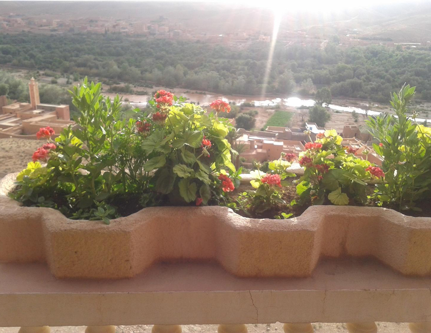 Imagen general del Hotel Almanader. Foto 19
