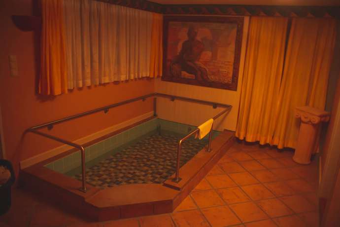 Imagen de la piscina del Hotel Alpenrose, Bad W&ouml;rishofen. Foto 19