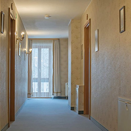 Imagen de los interiores del Hotel Alpenrose. Foto 12