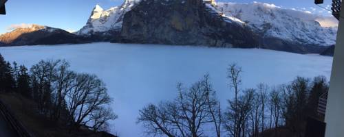 Imagen de la habitación del Hotel Alpina, MURREN. Foto 4
