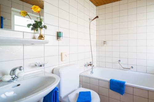 Imagen de la habitación del Hotel Alpina, MURREN. Foto 8