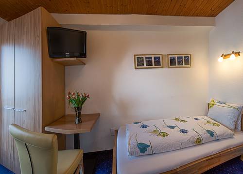 Imagen de la habitación del Hotel Alpina, MURREN. Foto 10