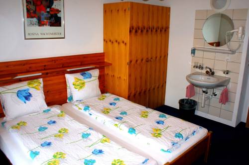 Imagen de la habitación del Hotel Alpina, MURREN. Foto 14