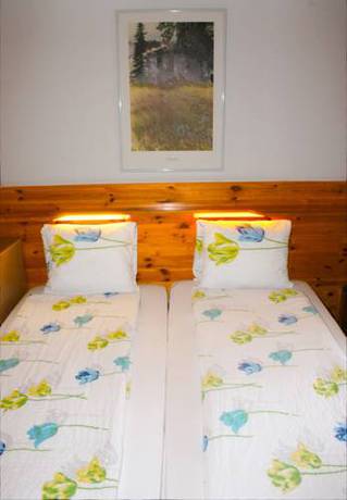 Imagen de la habitación del Hotel Alpina, MURREN. Foto 15