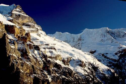 Imagen de la habitación del Hotel Alpina, MURREN. Foto 16