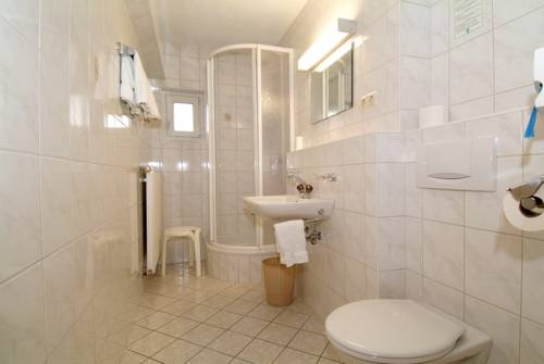 Imagen general del Hotel Alpina Regina. Foto 1