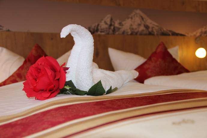 Imagen de la habitación del Hotel Alpina Ros Demming. Foto 8