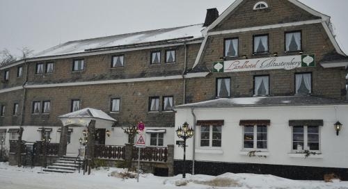 Imagen general del Hotel Altastenberg. Foto 5