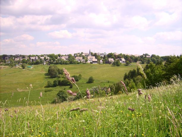 Imagen del bar/restaurante del Hotel Altastenberg. Foto 8