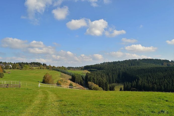 Imagen de los exteriores del Hotel Altastenberg. Foto 18