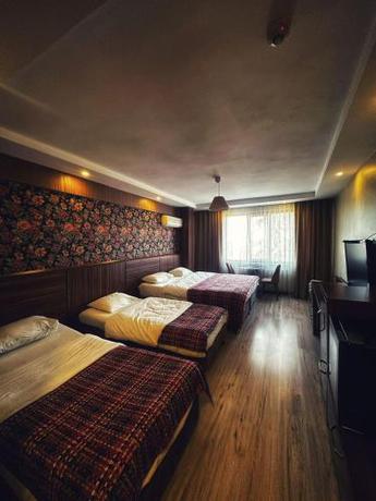 Imagen de la habitación del Hotel Altunhan. Foto 20