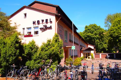 Imagen de la habitación del Hotel Am Bad. Foto 2