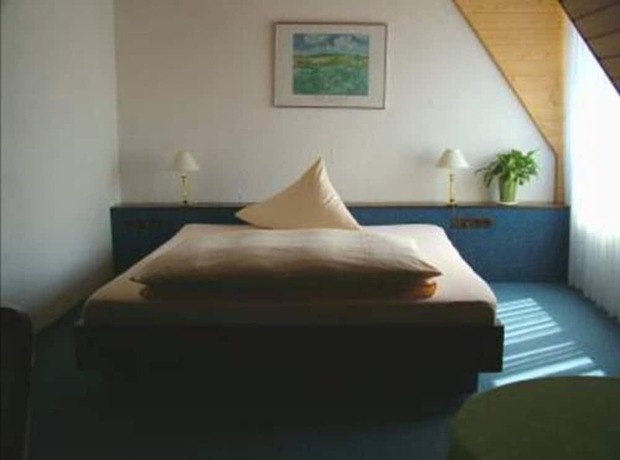 Imagen de la habitación del Hotel Am Markt, Neckarwestheim. Foto 12