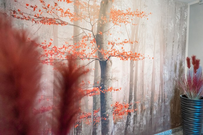 Imagen de los interiores del Hotel Am Park. Foto 20