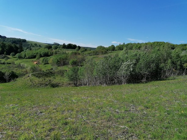 Imagen general del Hotel Am Park Stadtkyll. Foto 3