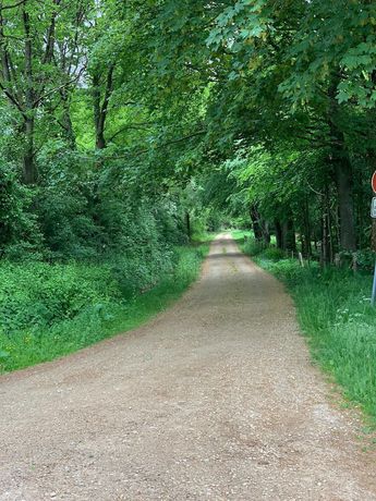 Imagen general del Hotel Am Park Stadtkyll. Foto 5