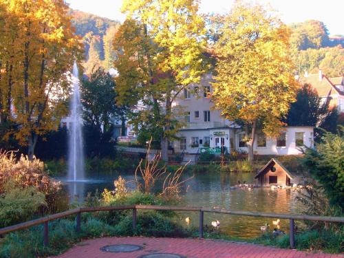 Imagen general del Hotel Am Schwanenteich. Foto 2