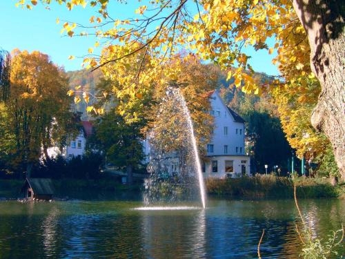 Imagen general del Hotel Am Schwanenteich. Foto 4