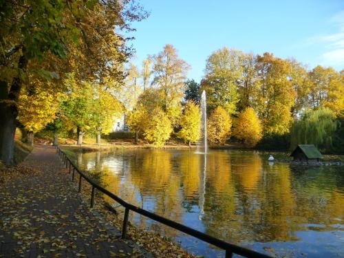 Imagen general del Hotel Am Schwanenteich. Foto 8