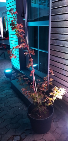 Imagen general del Hotel Am Untreusee. Foto 4