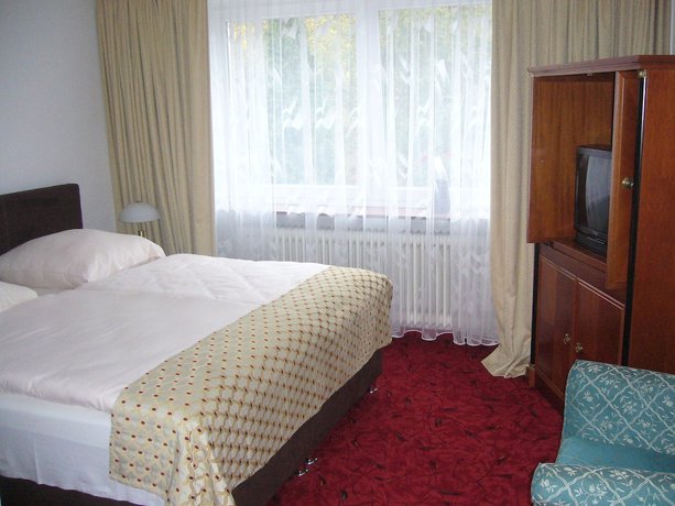 Imagen de la habitación del Hotel Am Wildpark. Foto 17