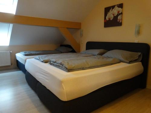 Imagen general del Hotel Amy. Foto 4
