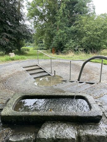 Imagen general del Hotel AquaQuell Bad Pilzweg. Foto 10