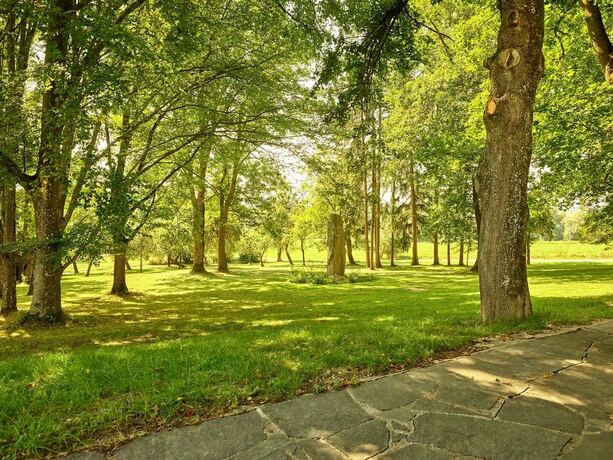 Imagen general del Hotel AquaQuell Bad Pilzweg. Foto 12