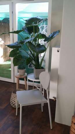 Imagen de los interiores del Hotel Arche Noah. Foto 19