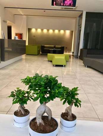 Imagen de los interiores del Hotel Artemide. Foto 18