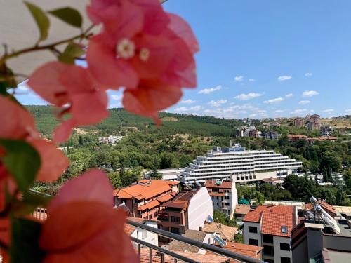 Imagen general del Hotel Astra, Sandanski. Foto 3
