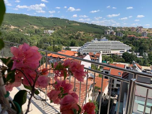Imagen general del Hotel Astra, Sandanski. Foto 6