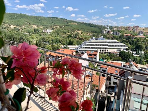 Imagen general del Hotel Astra, Sandanski. Foto 12