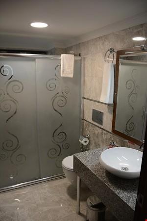 Imagen de la habitación del Hotel Avci. Foto 18