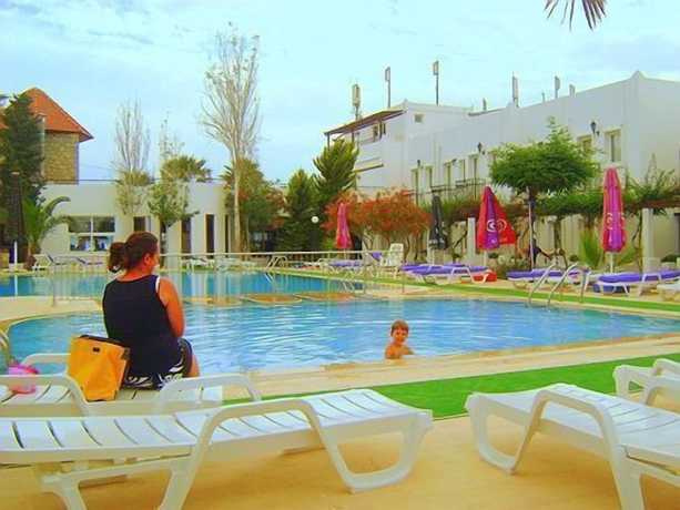 Imagen de la piscina del Hotel Baba. Foto 12