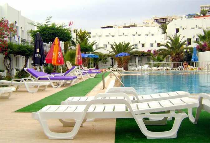 Imagen de la piscina del Hotel Baba. Foto 13