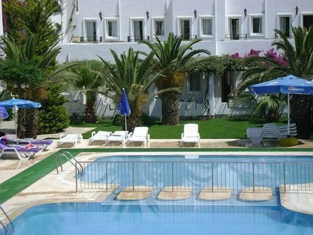 Imagen de la piscina del Hotel Baba. Foto 14