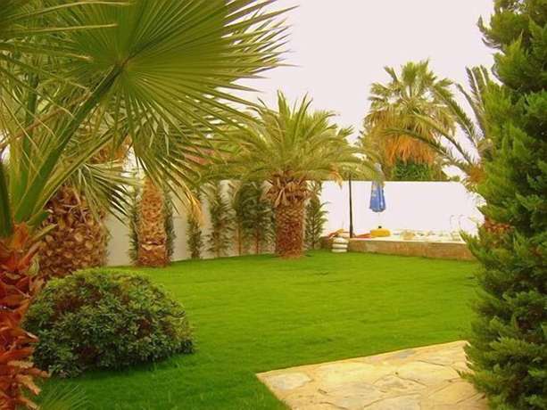 Imagen de los exteriores del Hotel Baba. Foto 7