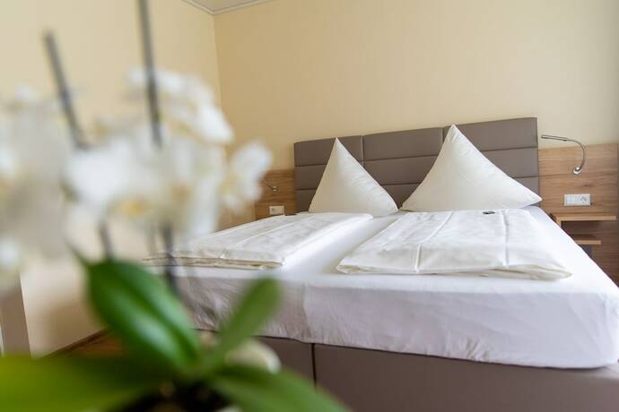 Imagen general del Hotel Bad D&uuml;rkheim. Foto 8