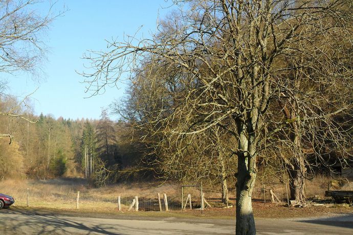 Imagen de los exteriores del Hotel Badstube. Foto 20