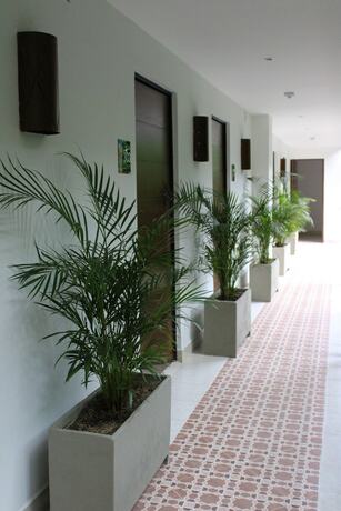 Imagen de los interiores del Hotel Bambu Inn. Foto 18