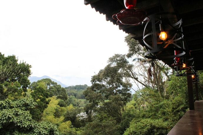 Imagen de los exteriores del Hotel Bambu Inn. Foto 13