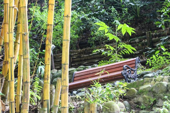 Imagen de los exteriores del Hotel Bambu Inn. Foto 14