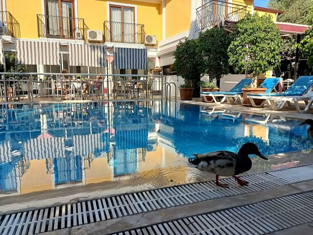 Imagen general del Hotel Barlas Fethiye. Foto 9