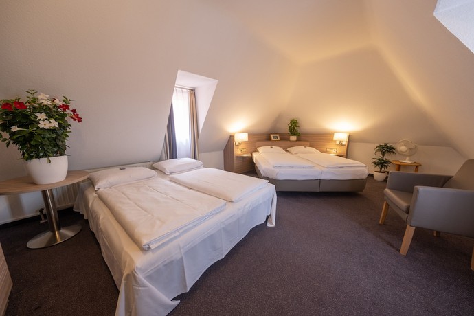 Imagen de la habitación del Hotel B&auml;r Sinsheim. Foto 9