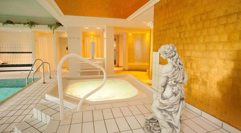 Imagen de la piscina del Hotel Becker. Foto 15