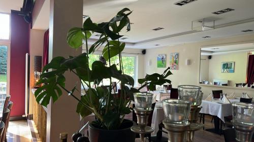 Imagen general del Hotel Belvedere, Seevetal. Foto 11