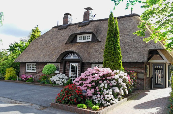 Imagen general del Hotel Blauer Fasan. Foto 3